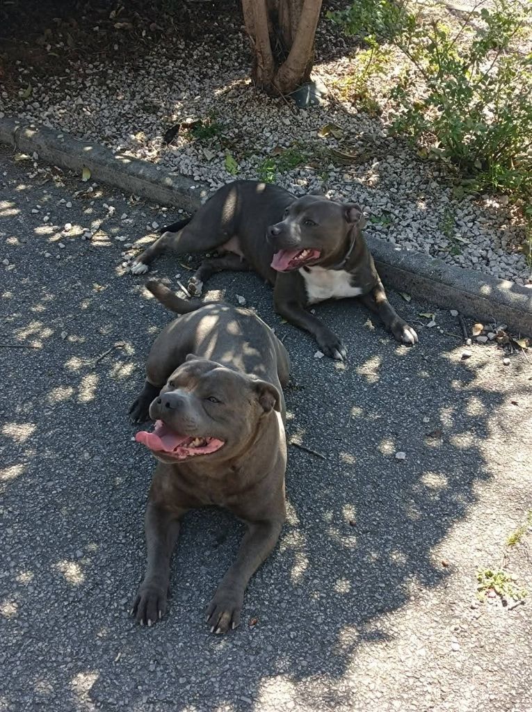 Bébés de kara et newton