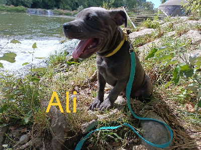 All